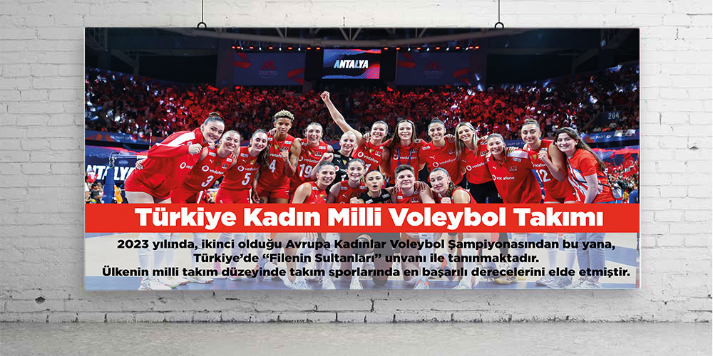 Voleybol Milli takımı posteri